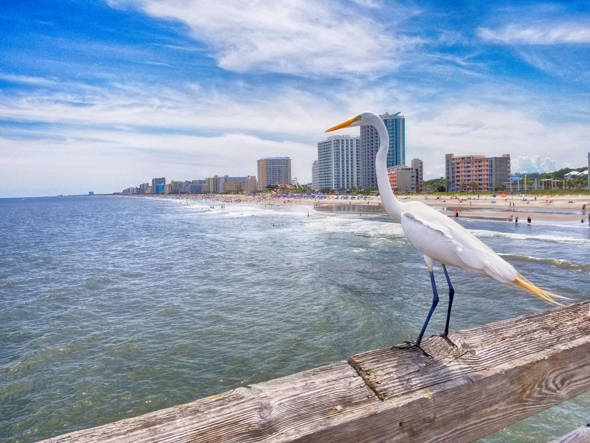 New Amazing Corneramazing Views Honeymoon Suite! Myrtle Beach Luaran gambar